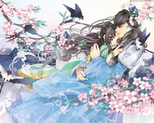 深入了解 香蕉丝瓜向日葵黄瓜福建福利